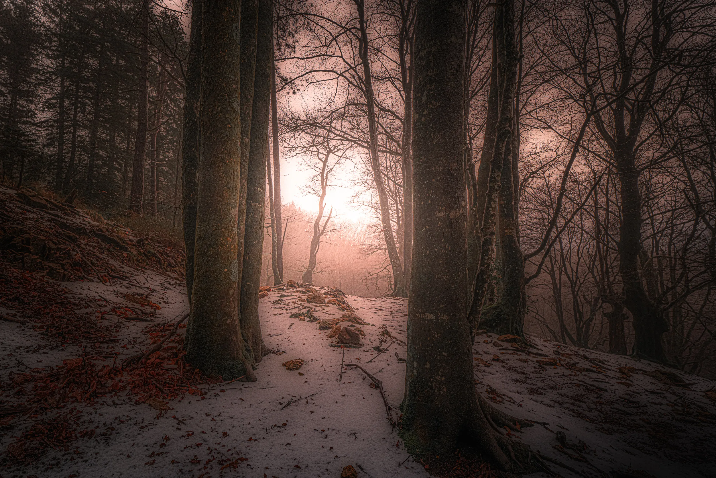 Forêt d'Aiako Harria sous la neige, dans une lumière rose d'hiver