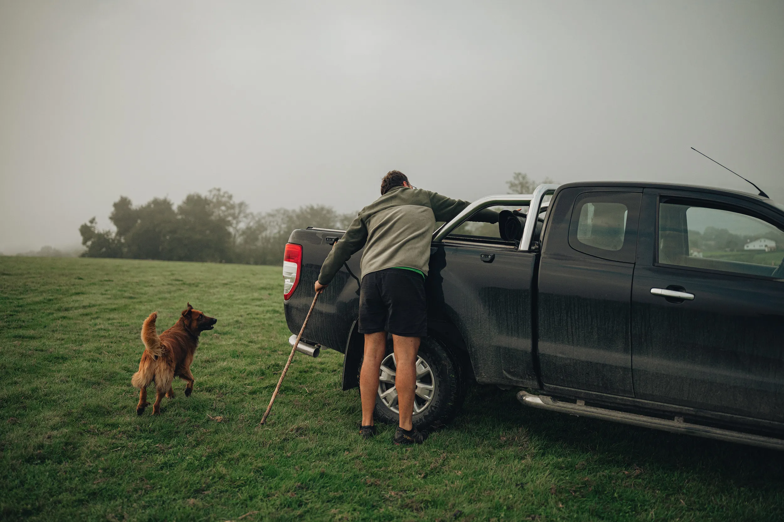 Agriculteur et son chien près d'un pick-up dans un pré brumeux