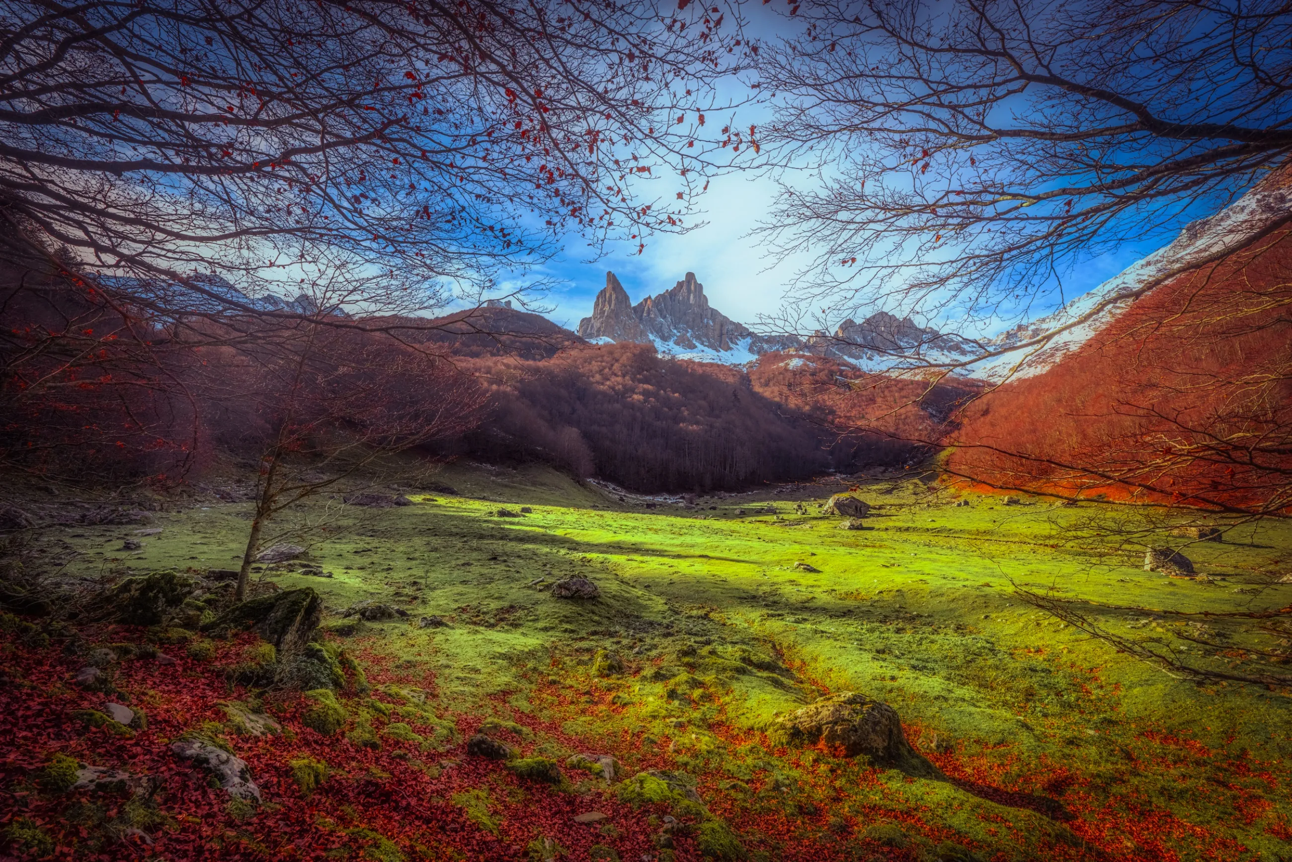 Les aiguilles d'Ansabère encadrées par les branches nues, au-dessus d'une prairie d'un vert éclatant, vallée d'Aspe