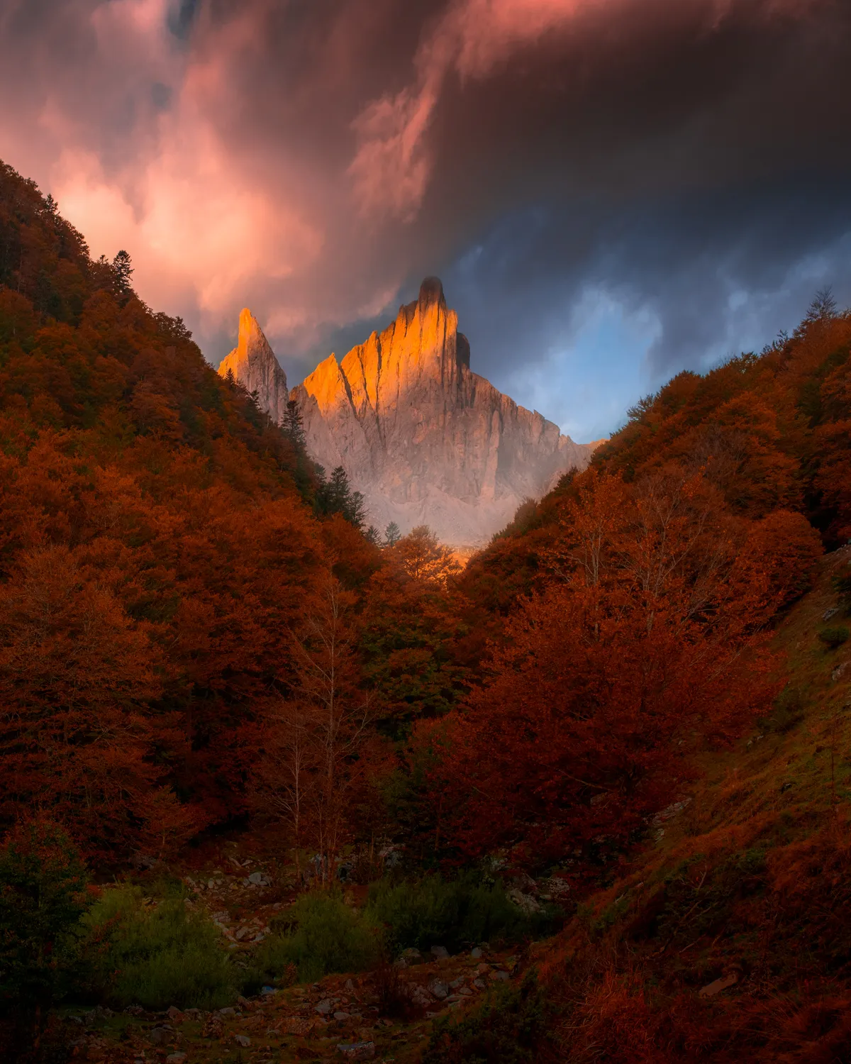 Les aiguilles d'Ansabère éclairées par le soleil couchant au-dessus d'une hêtraie rousse d'automne