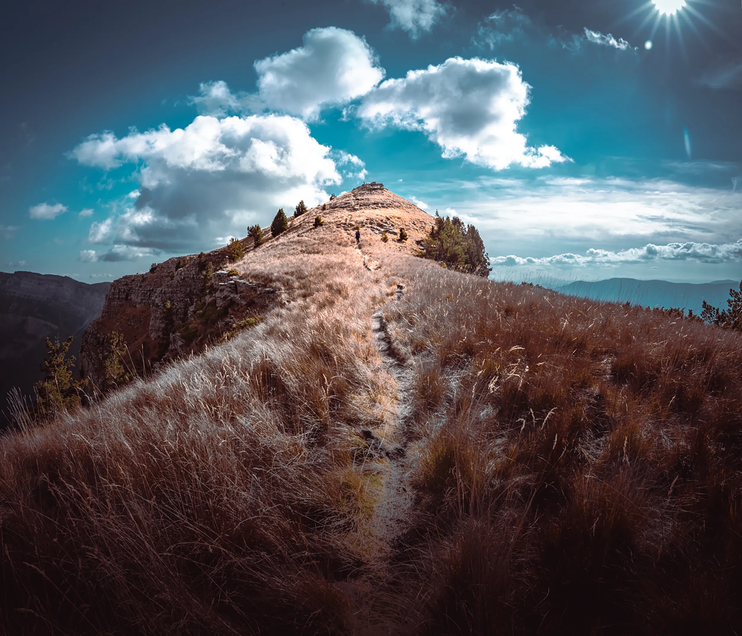 Un sentier de crête dans les herbes dorées au-dessus du canyon d'Ordesa, sous un ciel bleu et le soleil étoilé