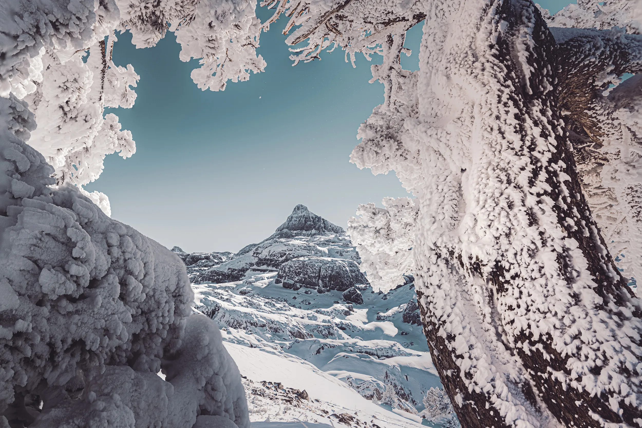 Le pic d'Anie encadré par des arbres couverts de givre, sous un ciel d'hiver