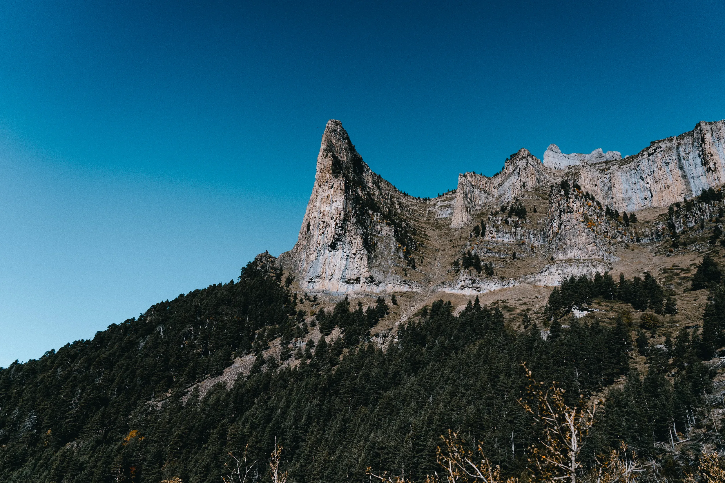 La proue calcaire du Tozal del Mallo sous un ciel bleu intense, au-dessus des pins du canyon d'Ordesa