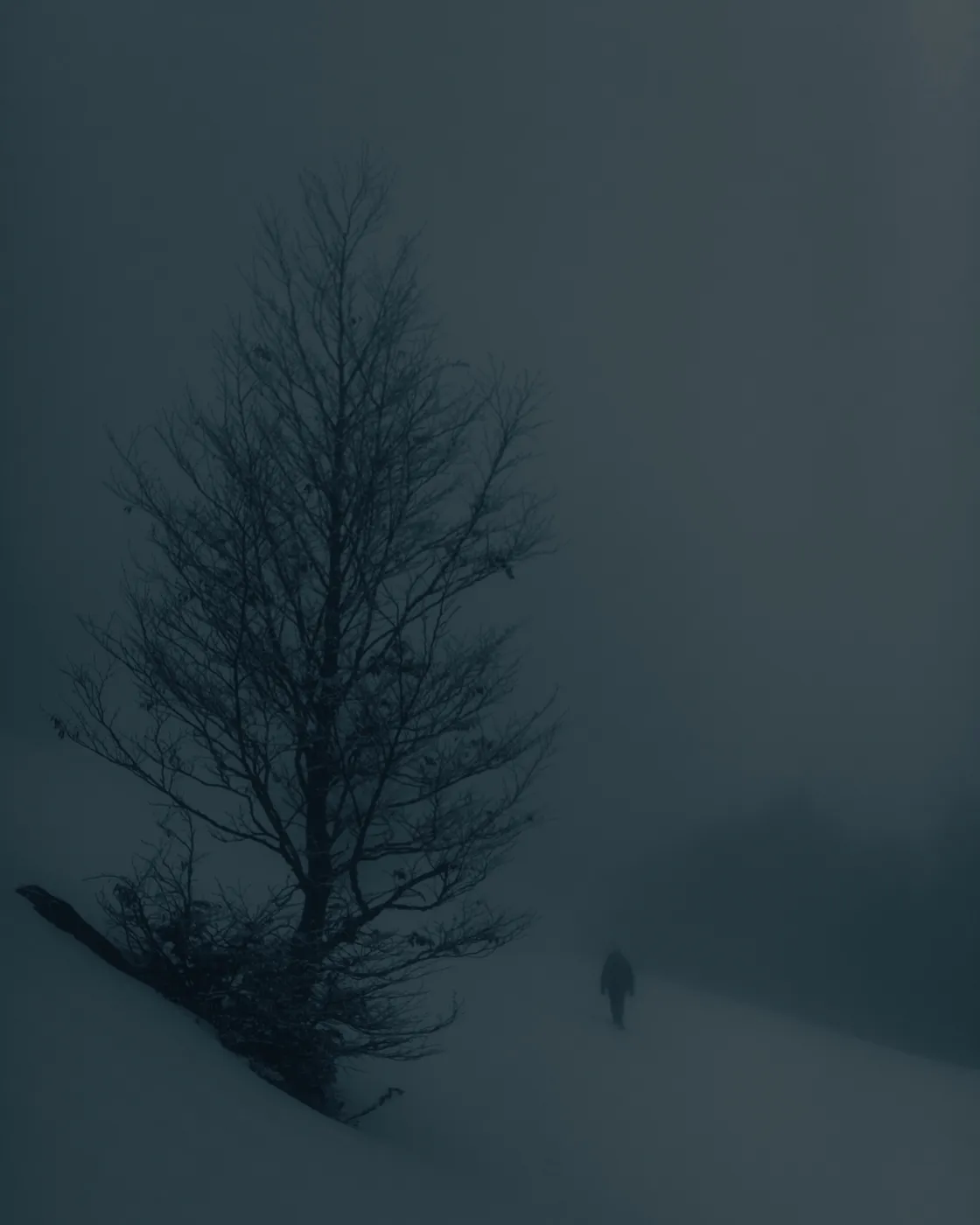 Un marcheur près d'un arbre isolé dans le brouillard et la neige, vallon de Belonce